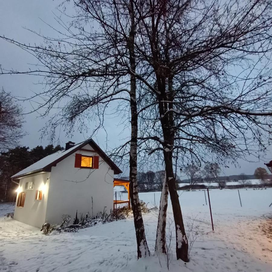 Smocze Ranczo 2 Villa Ośno Lubuskie Eksteriør billede